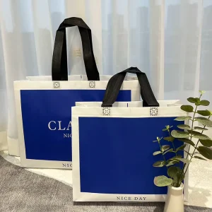 Reusable Polypropylene Fabric Packaging Laminated Non Woven Bag Shopping Packing Bag