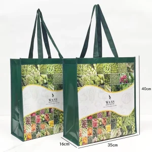 Reusable Polypropylene Packaging Laminated Ceo Non Woven Bag Shopping Tote RPET Bag pp Woven Bag with Custom logo