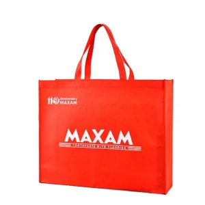 Shopping Pp Non Woven Tote Bag for Packaging Non Woven Promotional Gift Bag Manufacturer Reusable Advertising Shopping Bag