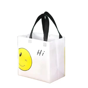 Small Size Eco Friendly Fabric Bag Customized Laminated Non Woven Tote Bag for Business