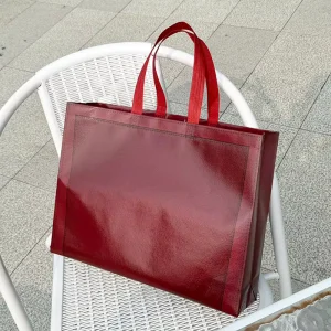 Women’s Handbag Laminated Non Woven Recyclable Customizable Logo Gift Craft Use Packaging Bag