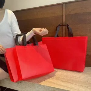 Women’s Recyclable Waterproof Non Woven Handbag with Logo Print for Clothing Store Shopping and Gifts Packaging