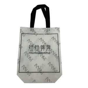 small business packing supplies pp non woven shopping bag for shopping
