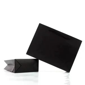 Cardboard Paper Bag Custom Dress Clothing Paper Shopping Bags Paper Gift Bag With Ribbon Handle