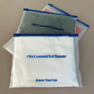 Custom Biodegradable Recyclable Transparent Clothing Ziplock Plastic Packaging Bag Frosted Zipper Bag With Logo Zip Lock Bag