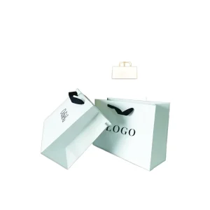 Custom Brand logo Printing Kraft Bag Packaging Gift Paper Bags with Your Own logo
