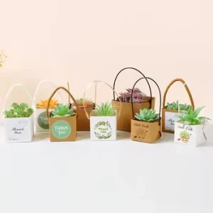 Custom Cactus Packing Bag Succulent Wraps Plant Grow Gift Box with Plastic Handles
