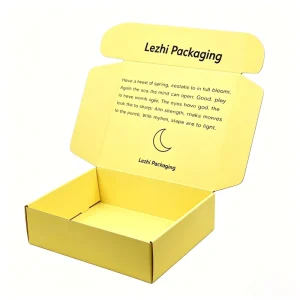 Custom Carton Gift Box Shipping Apparel Box for Packaging Dress Underwear Shirt Corrugated Cardboard Mailer Box