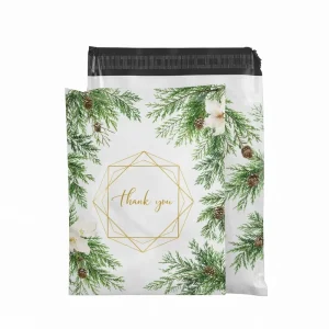 Custom Color Poly Mailer Bags Waterproof Self Seal Shipping Envelopes for Brand Packaging