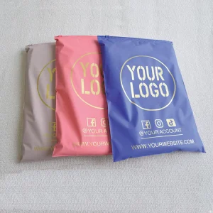 Custom Colored Matte Resealable Zipper Bags with Gold Foil Logo for Boutique Clothing Packaging Swimwear