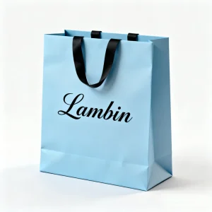 Custom Eco-friendly Luxury Branding Packaging Bags with Embossed Logo for Jewelry Retail Clothing Stores