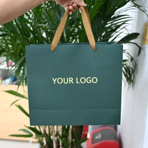Custom Green Cardboard Screen Printed Color Clothes Packaging Shopping Bag with Logo for Dresses