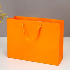 Custom High Quality Printed Packaging Paper Bags Clothing Packaging Bags