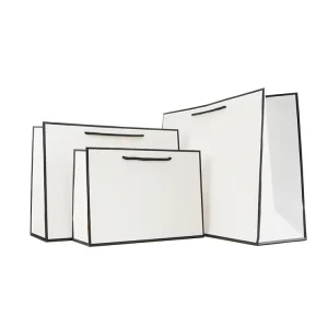 Custom Laminated Luxury Paper Bag with Ribbon Handles for Jewelry Packaging