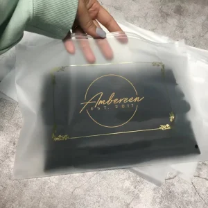 Custom Logo Luxury Clothing Bags Transparent Frosted Poly Zip Lock Packaging PE Material for Clothes and Zipper Plastic Bags