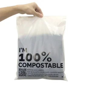 Custom Logo PLA PBAT Biodegradable Matte Frosted Clothing Packaging Ziplock Bag Swimwear Underwear Garment Storage Zipper Bags