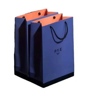 Custom Logo Printed Eco Paper Cloth Garment Perfume Packaging Gift Shopping Bag With Rope Handle