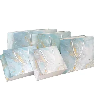 Custom Logo Printed Retail Clothing Packaging Paper Bag Shopping Packaging Paper Bag for Clothes