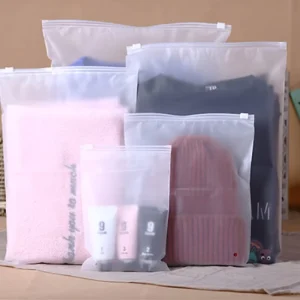 Custom Logo Printed Zip Lock Poly Bags PVC EVA PE T Shirt and Garment Pouch with Gravure Printing Industrial Use Mailer Bag