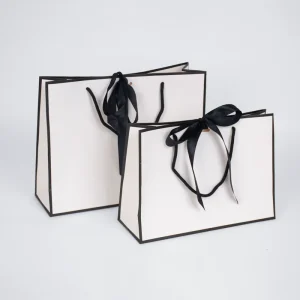 Custom Logo Printing Recycle Gift Printed Shopping Paper Bag with Ribbon Handle Packaging Paper Bags