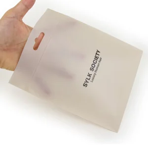 Custom Logo Recycled Materials Swimwear Clothing Packaging CPE Ziplock Bag with Hanging Hole Gravure Printing