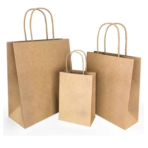 Custom Logo Retail Clothing Packaging Paper Bag Kraft Paper Bags Eco Friendly Biodegradable Shopping Paper Bag