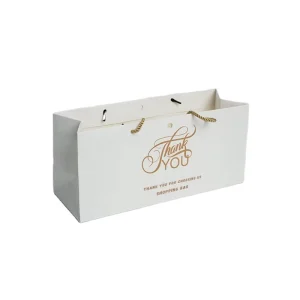 Custom Own Logo Printed Retail Clothing Packaging Paper Bag, Shopping Paper Bag for Apparel