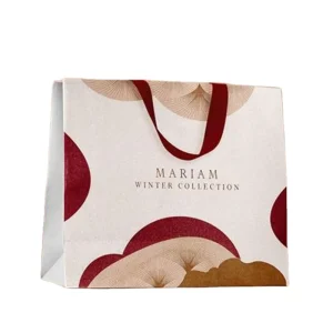 Custom Own Logo Printed Retail Clothing Packaging Paper Bag, Shopping Paper Bag for Apparel