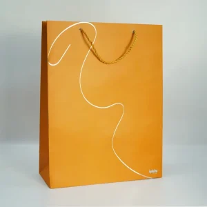 Custom Packaging Bags Personalized High Quality Luxury Paper Bags With Your Own Logo Embed Handle