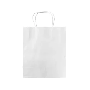 Custom Packaging Bags for Clothing with Private Logo Eco Friendly Durable Retail Packaging