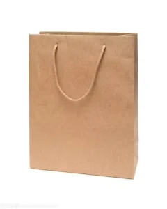 Custom Paper Bag With Logo Packaging Design