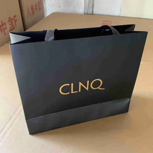 Custom Pink Dress Printed Fashion Gift Bags Paperboard Packaging Recycled Foldable Ribbon Shoes Clothing Biodegradable