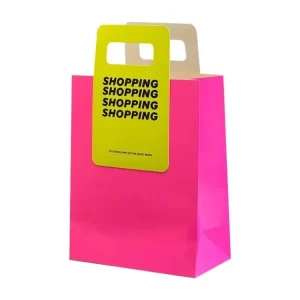 Custom Pink Paper Bag Custom Printed Logo Luxury Clothing Shopping Bags for Dresses Paper Shipping Bag