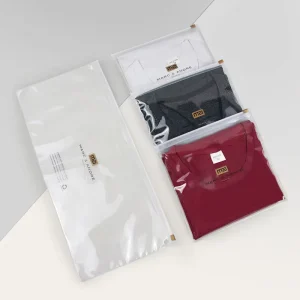 Custom Printed Jewelry Resealable for Underwear Clothing Shoes Recyclable Transparent Frosted Plastic Zipper Bag