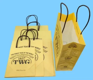 Custom Printed Laminated Shopping Gift Packaging Paper Bag With Custom Logo