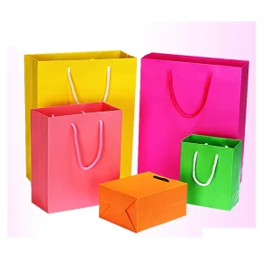 Custom Printed Logo Shipping Packaging Paper Bag Stylish Gift Bag for Clothing