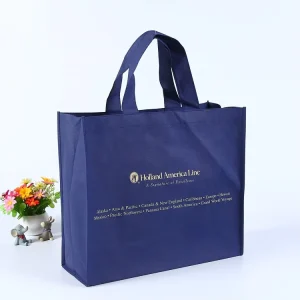 Custom Printed Reusable Dress Packaging Recycled Tote Shopping Nonwoven Bag