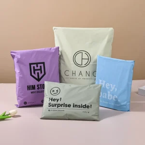 Custom Size Recyclable Printed Logo Polyethylene Express Shipping Clothes Packaging Mail Parcel Bags