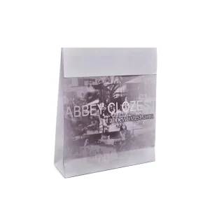 Custom logo Paper Gift Bags Fashion Printing Paper Packaging Bag