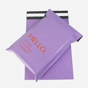 Customizable Biodegradable logo Eco Friendly Empty 200×300 Customised Plastic Branded Packaging Bags for Clothing