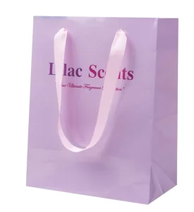 Customizable Eco friendly Reusable Luxury Paperboard Bags for Clothing Dresses with Cotton Rope Handle Offset Printing