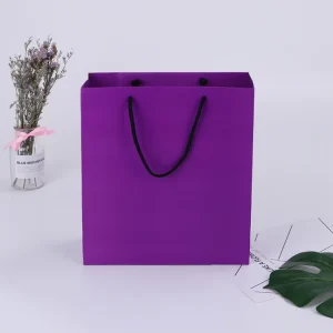 Customized Luxury Packaging Paper Bags Print Luxury Plastic Shopping Bags for Gift Wrapping