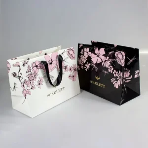 Customized Paper Bags Gift Bag Printed Recycling Clothes And Shoes Packaging Luxury Fashionable Clothing Shopping With Ribbon Hl