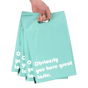 Customized Print Mailing Poly Bags for Clothing Bag Packaging Plastic