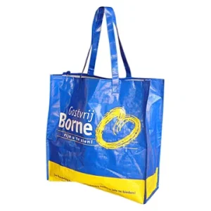Customized Printed Bag Plastic Bag Packaging Shopping Poly Bag