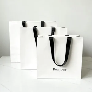 Eco Friendly Biodegradable Durable Custom Paper Clothing & Shoes Packaging Bags with Offset Printing Embossing Handles