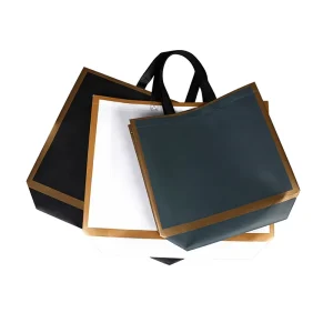 Eco Friendly Laminated Needle Punched Non Woven Screen Printed Packaging Bags for Clothing Fur Advertising Gift Use