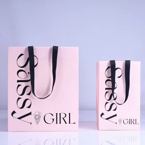 Environmental Protection Customized Ribbon Handles Clothing Packaging Fancy Women’s Underwear Grey Shopping Paper Bag