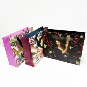 Frame Designs Eco-Friendly Clothing Shoes Lamination Printing Flower Paper Gift Bags