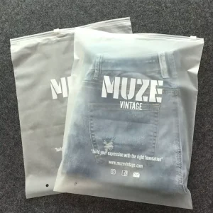 Frosted Custom Zipper Bag, Ziplock Bag with Logo Printing for Clothes